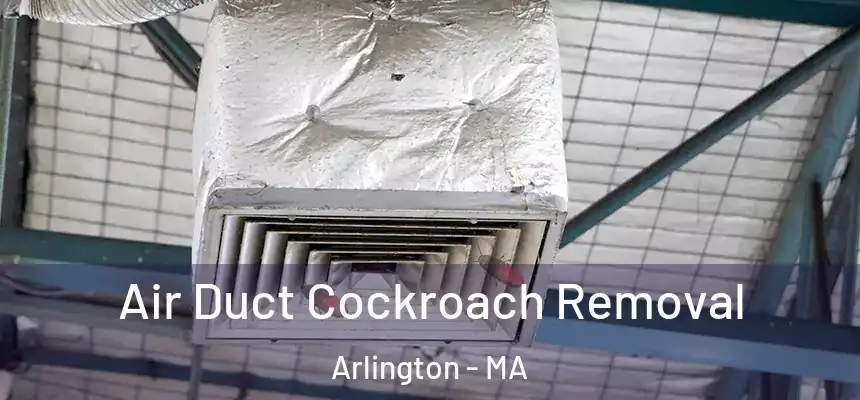 Air Duct Cockroach Removal Arlington - MA
