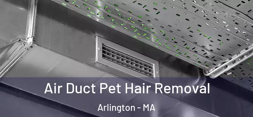  Air Duct Pet Hair Removal Arlington - MA