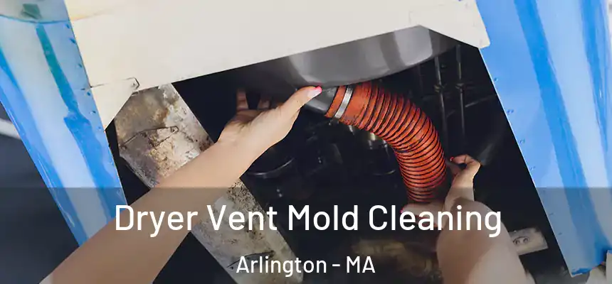 Dryer Vent Mold Cleaning Arlington - MA