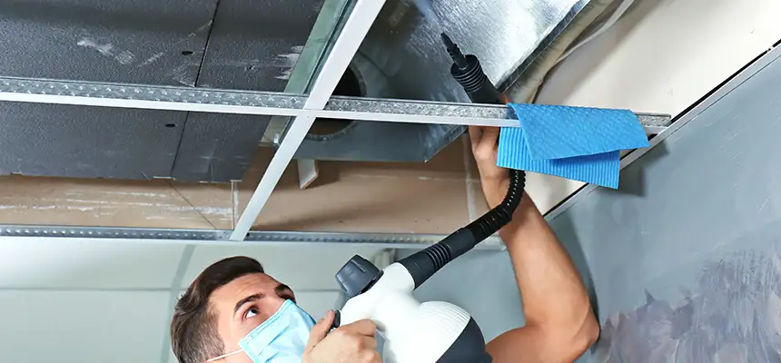 Our Air Duct Rodent Removal Services in Arlington, MA