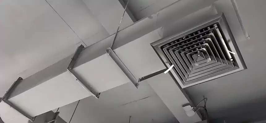 Our Pest Removal From Ducts Services in Arlington, MA