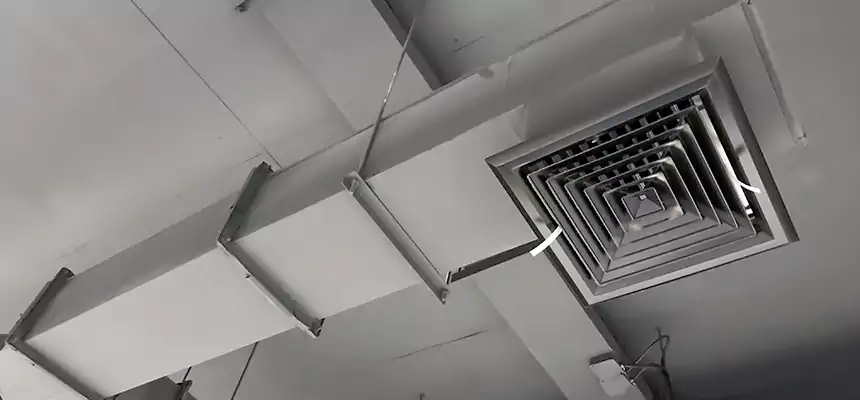 Our Rodent Droppings In Vents Services in Arlington, MA