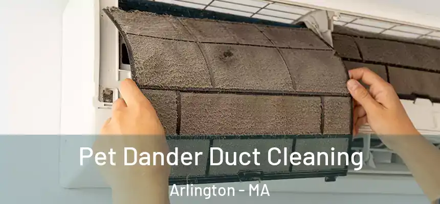 Pet Dander Duct Cleaning Arlington - MA