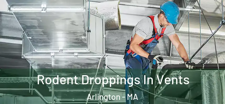  Rodent Droppings In Vents Arlington - MA