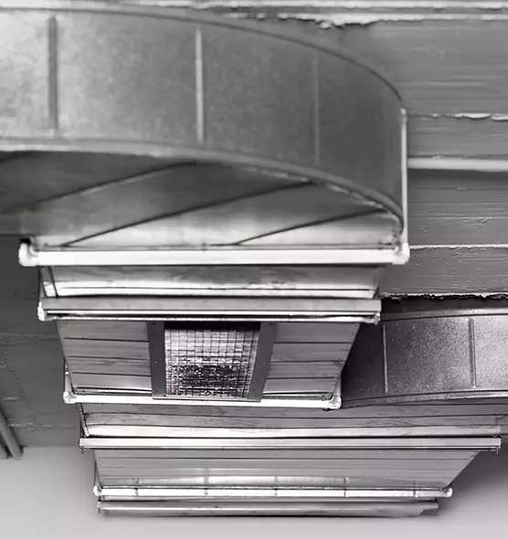 Professional Air Duct Pest Removal in Arlington, MA