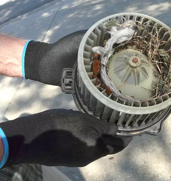 About Air Duct Rat Removal in Arlington, MA