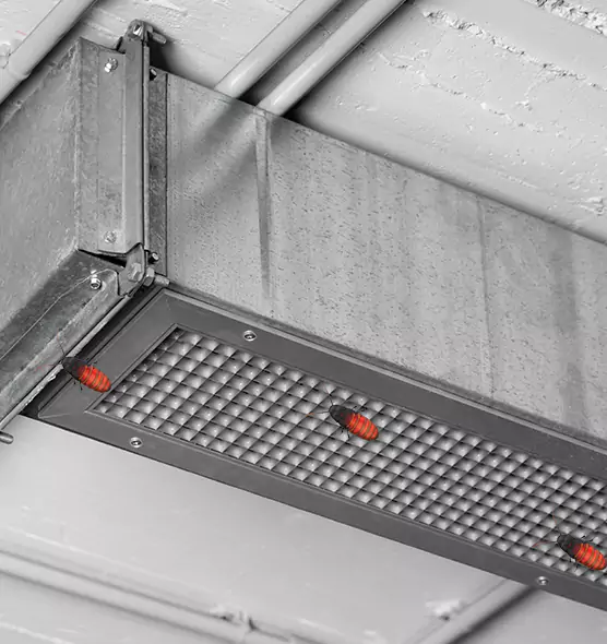 Affordable Insect Removal from Air Ducts in Arlington, MA