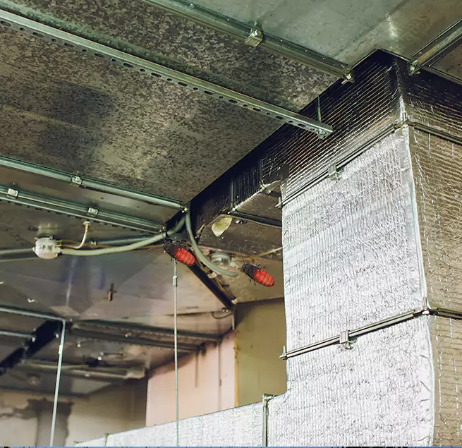 Why Homeowners & Businesses Trust Us in Arlington, MA?