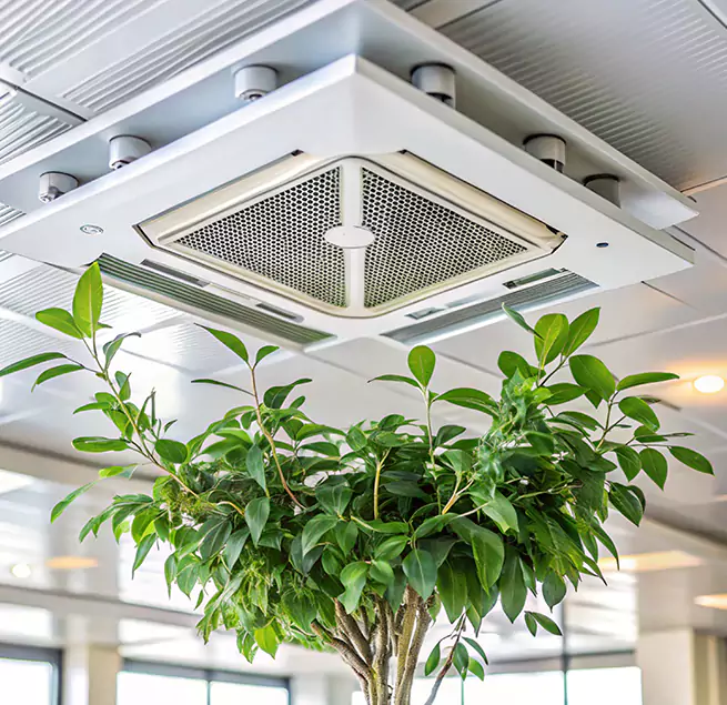 Why Homeowners & Businesses Trust Us in Arlington, MA?